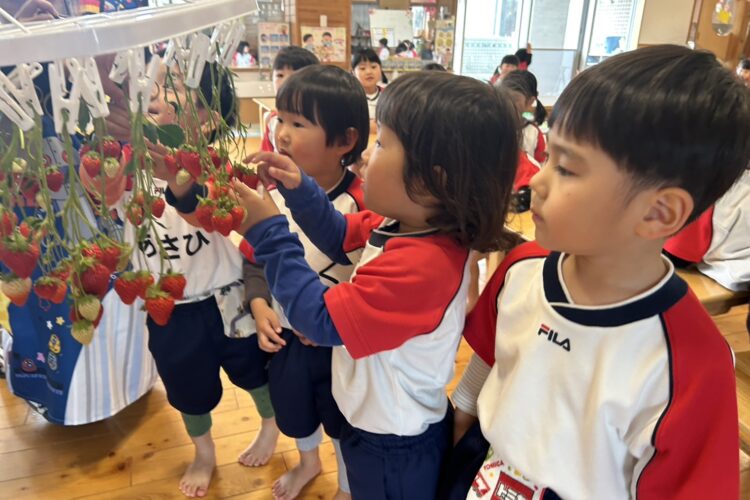 4月2日～なんちゃっていちご狩り🍓をしました(笑)