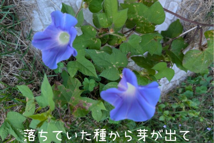 8月25日（月）今年も夏のイベントの一つ、ウォーターランド開催！