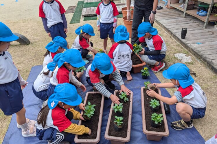 草取り合戦～第2園庭の草をみんなで取りました！