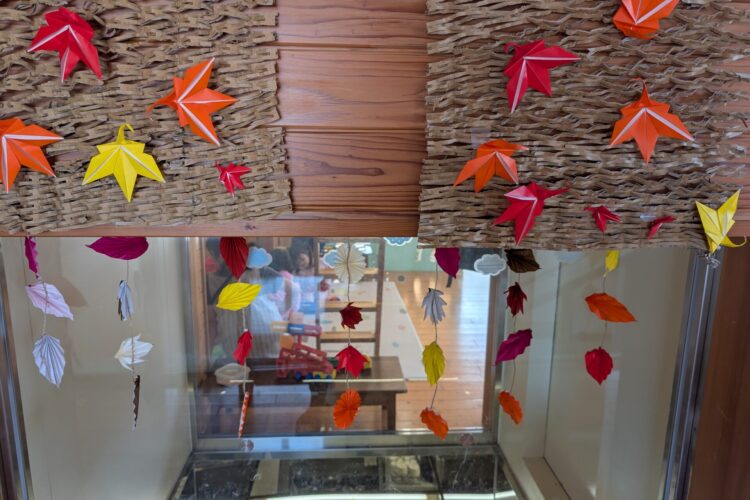 11月5日~自転車教室に参加しました