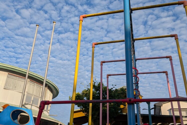 11月8日～三股町ふるさと祭りのステージ発表に年長児が参加しました。