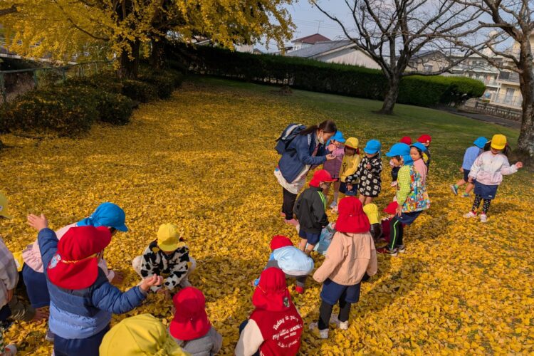12月3日～銀杏が綺麗すぎた✨