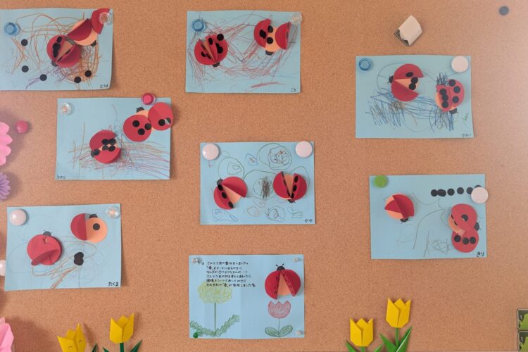 時期外れの大根1本を収穫しました