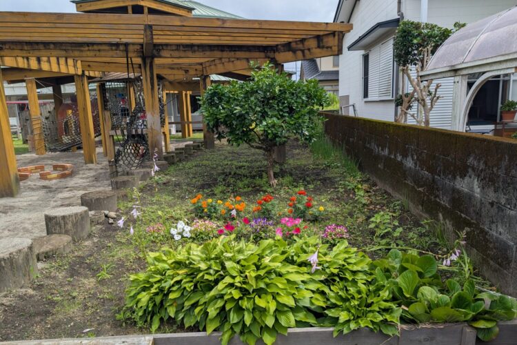 園庭の砂山でトンネル作りが始まっていました